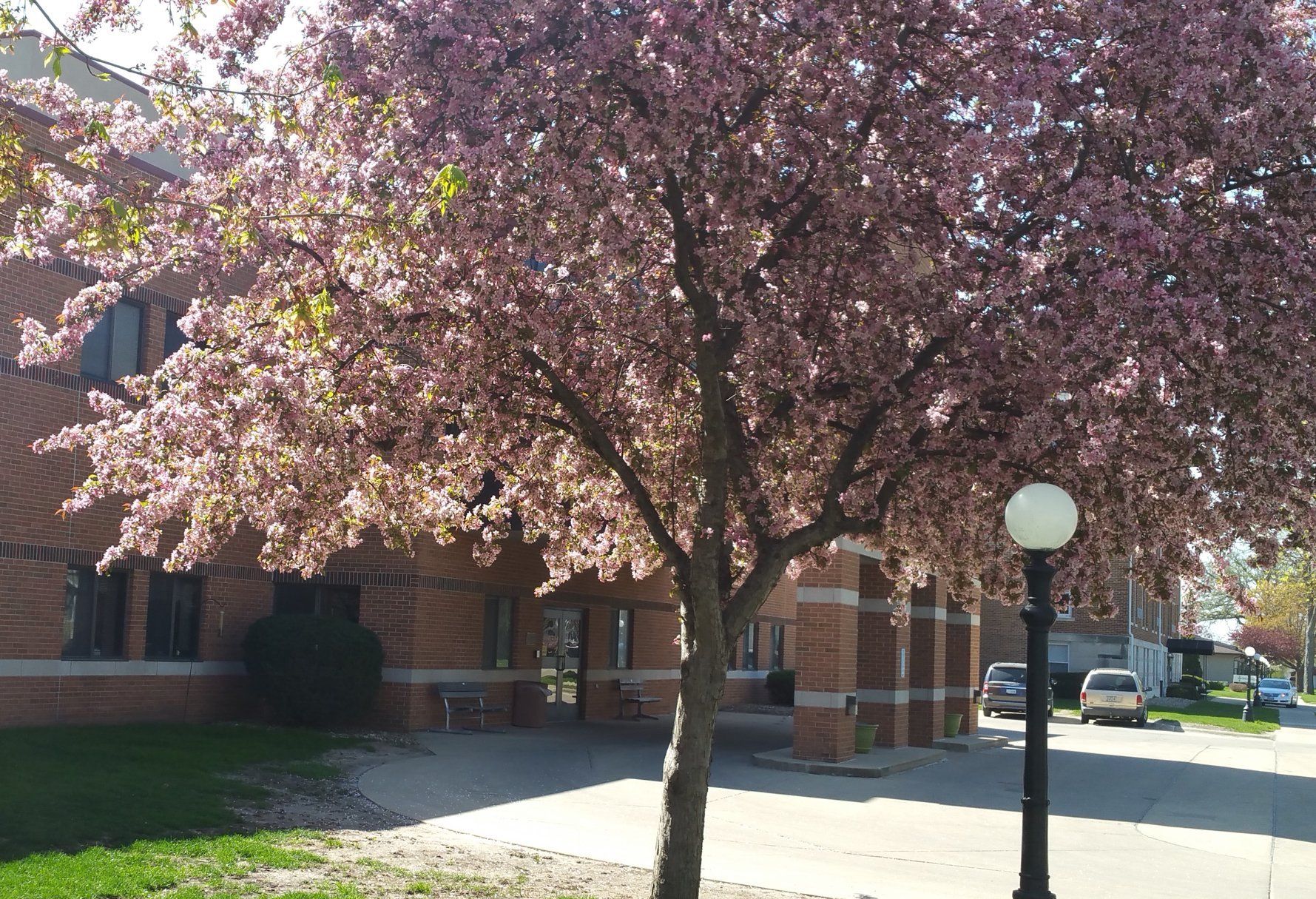 Senior Nursing Care In Cedar Falls IA Western Home Communities   Photo 93  1779x1215 1920w 